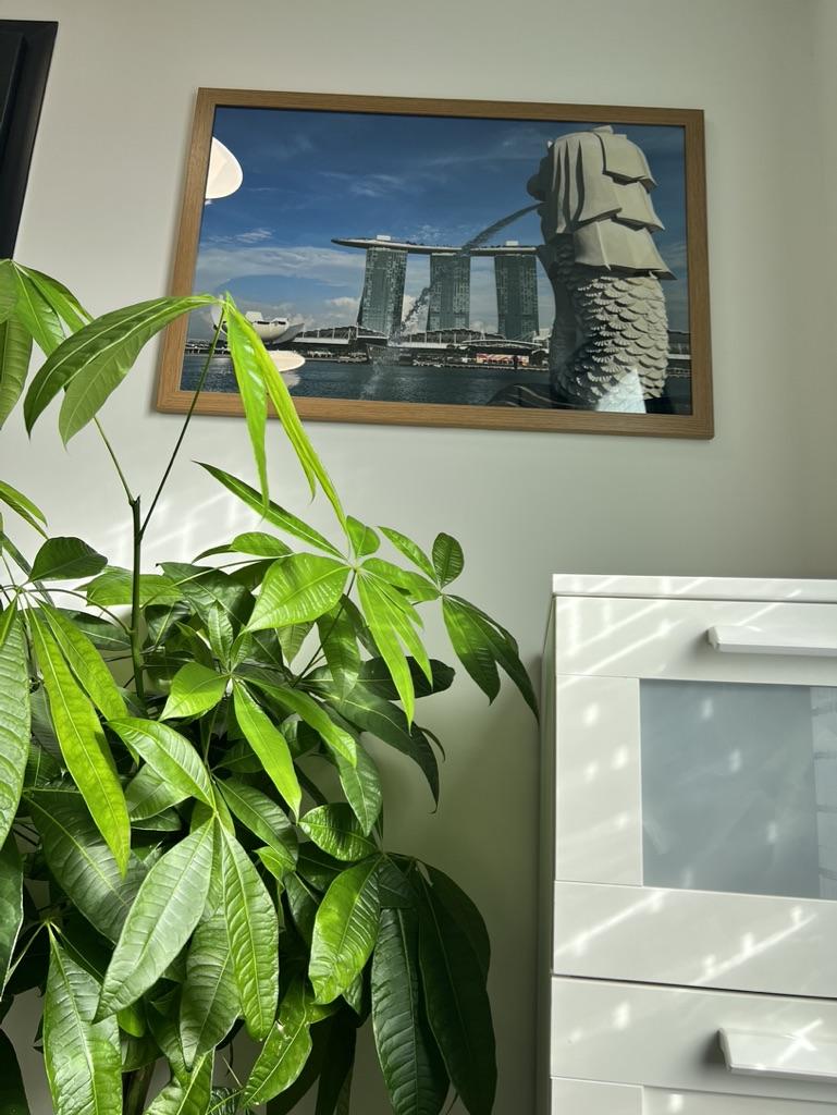 Décoration intérieure